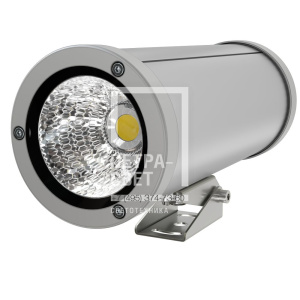 Акцент 30 Р Дуо CRI80 5000К 60° фото 1